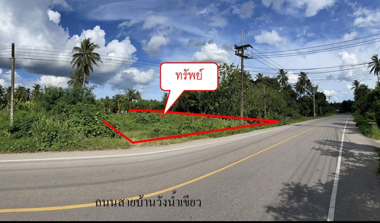 ใช่ 💖 ที่ดิน บางสะพาน ราคาพิเศษ! 💖 รูปที่ 4