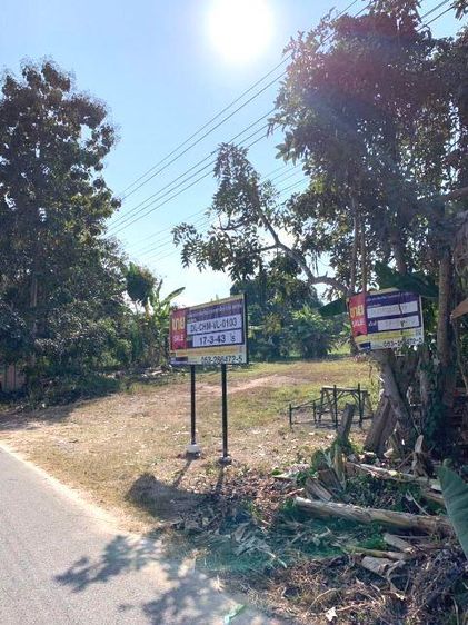 ใช่ 💖 ที่ดิน แม่แตง ราคาพิเศษ! 💖 รูปที่ 2