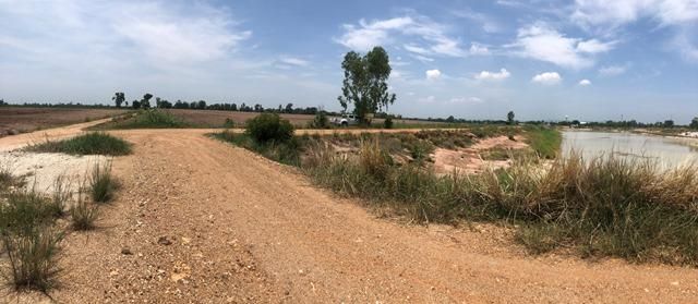 ใช่ 💖 ที่ดิน เนินขาม ราคาพิเศษ! 💖 รูปที่ 2