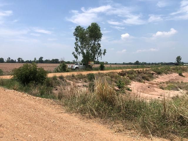 ใช่ 💖 ที่ดิน เนินขาม ราคาพิเศษ! 💖 รูปที่ 3