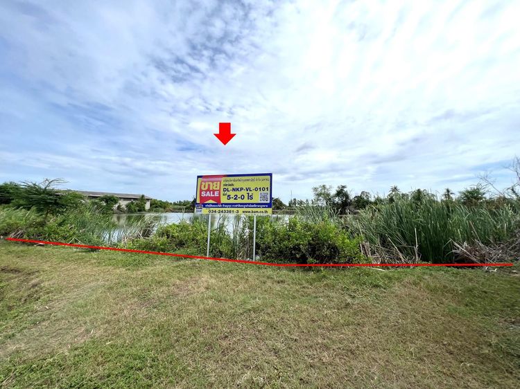 💖 ที่ดิน นครชัยศรี ราคาพิเศษ! 💖