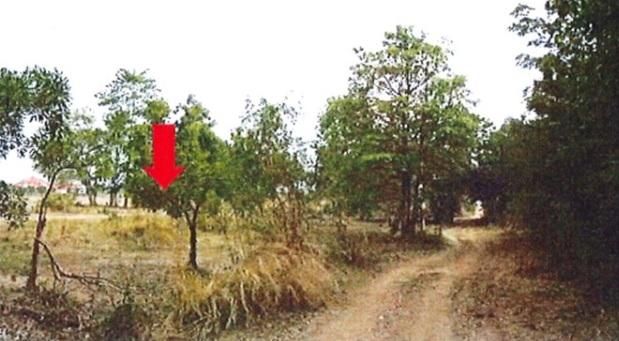 ใช่ 💖 ที่ดิน ทับคล้อ ราคาพิเศษ! 💖 รูปที่ 2