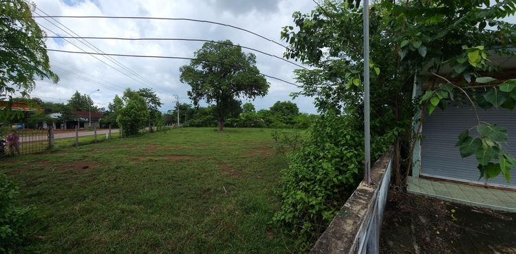 ใช่ 💖 ที่ดิน เมืองสกลนคร ราคาพิเศษ! 💖 รูปที่ 3