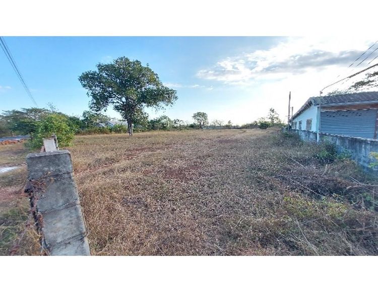 ใช่ 💖 ที่ดิน เมืองสกลนคร ราคาพิเศษ! 💖 รูปที่ 4