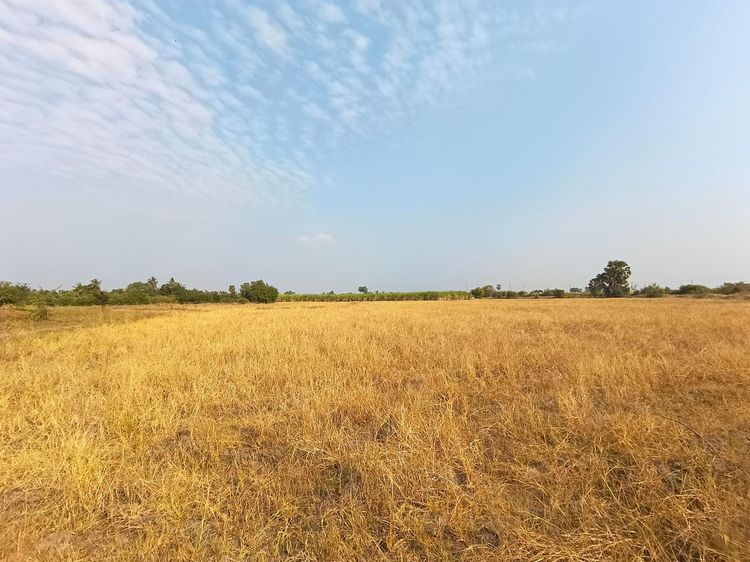 ใช่ 💖 ที่ดิน อู่ทอง ราคาพิเศษ! 💖 รูปที่ 4