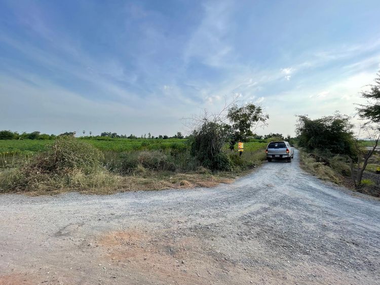 💖 ที่ดิน อู่ทอง ราคาพิเศษ! 💖