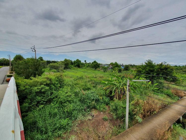 ใช่ 💖 ที่ดิน บางบ่อ ราคาพิเศษ! 💖 รูปที่ 3