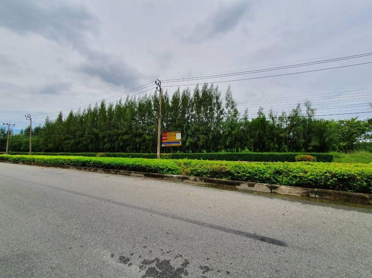 ใช่ 💖 ที่ดิน บางบ่อ ราคาพิเศษ! 💖 รูปที่ 2