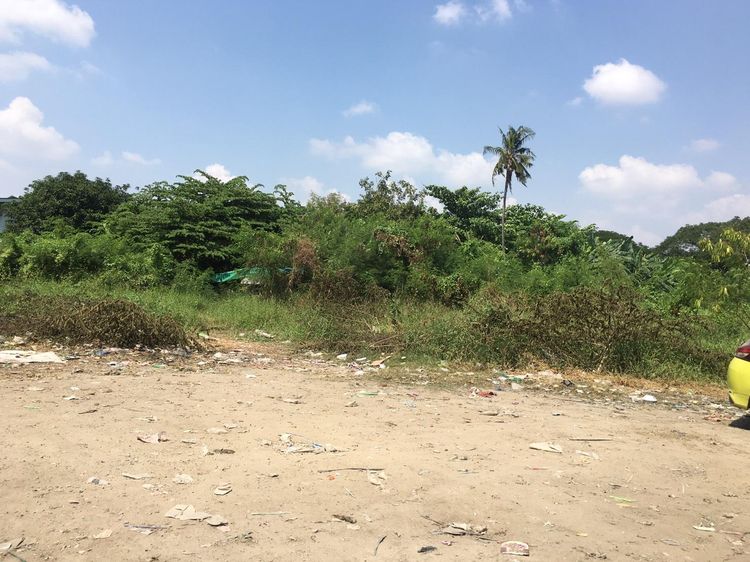 ใช่ 💖 ที่ดิน หนองแขม ราคาพิเศษ! 💖 รูปที่ 2