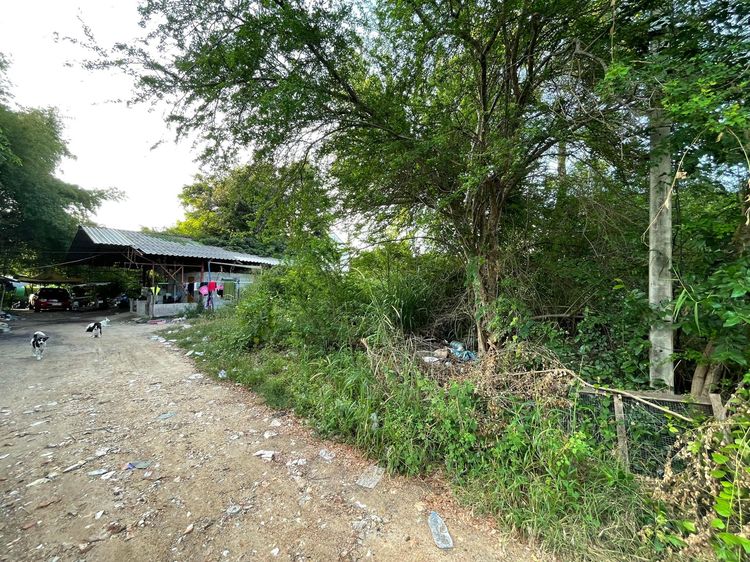 ใช่ 💖 ที่ดิน หัวหิน ราคาพิเศษ! 💖 รูปที่ 2