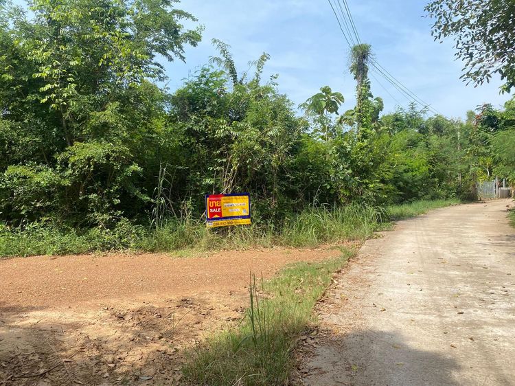 ใช่ 💖 ที่ดิน อรัญประเทศ ราคาพิเศษ! 💖 รูปที่ 3