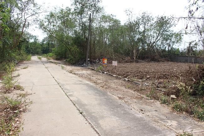 💖 ที่ดิน ธัญบุรี ราคาพิเศษ! 💖