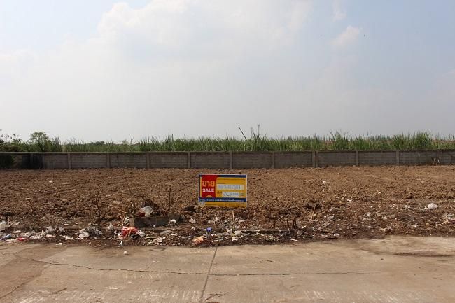 💖 ที่ดิน ธัญบุรี ราคาพิเศษ! 💖