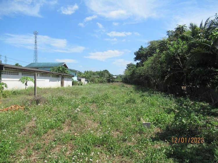 ใช่ 💖 ที่ดิน เขาพนม ราคาพิเศษ! 💖 รูปที่ 4