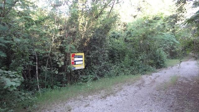 ใช่ 💖 ที่ดิน เกาะคา ราคาพิเศษ! 💖 รูปที่ 2