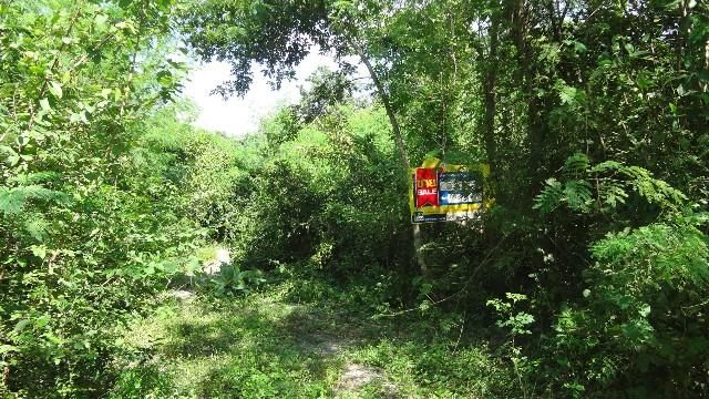 💖 ที่ดิน เกาะคา ราคาพิเศษ! 💖