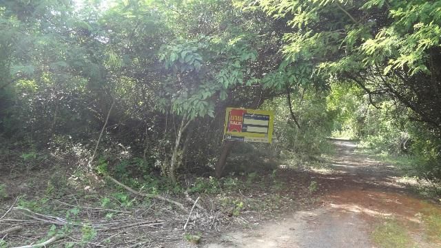 💖 ที่ดิน เกาะคา ราคาพิเศษ! 💖