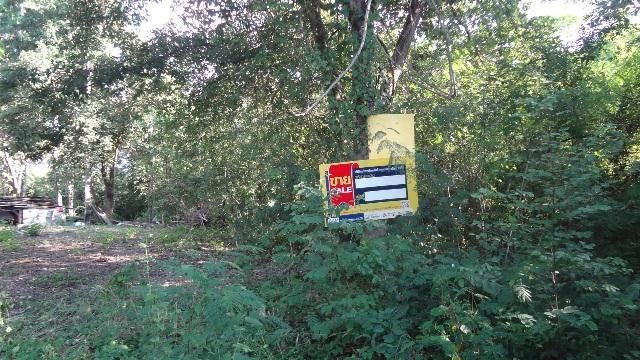 💖 ที่ดิน เกาะคา ราคาพิเศษ! 💖