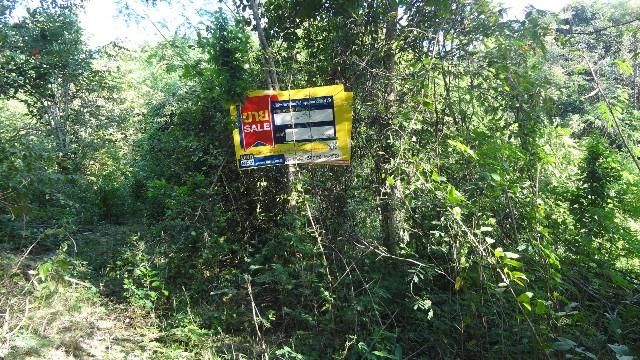 💖 ที่ดิน เกาะคา ราคาพิเศษ! 💖