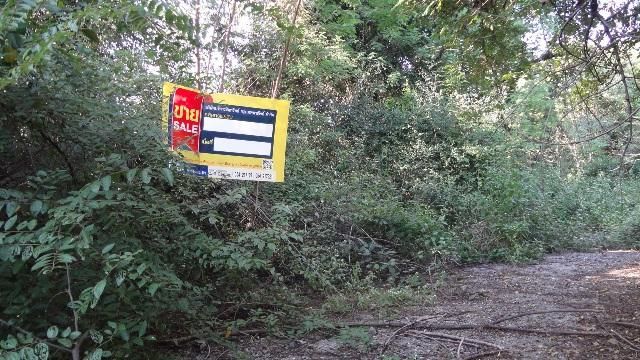 💖 ที่ดิน เกาะคา ราคาพิเศษ! 💖