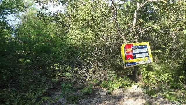 💖 ที่ดิน เกาะคา ราคาพิเศษ! 💖