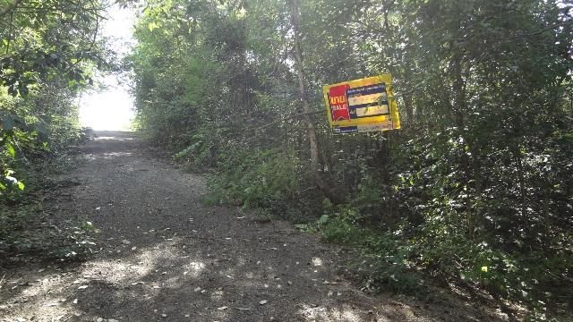 💖 ที่ดิน เกาะคา ราคาพิเศษ! 💖