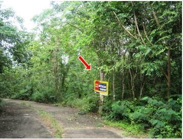 ใช่ 💖 ที่ดิน เกาะคา ราคาพิเศษ! 💖