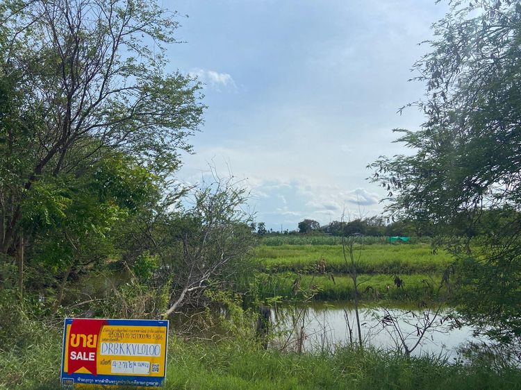 ใช่ 💖 ที่ดิน ทุ่งครุ ราคาพิเศษ! 💖 รูปที่ 3