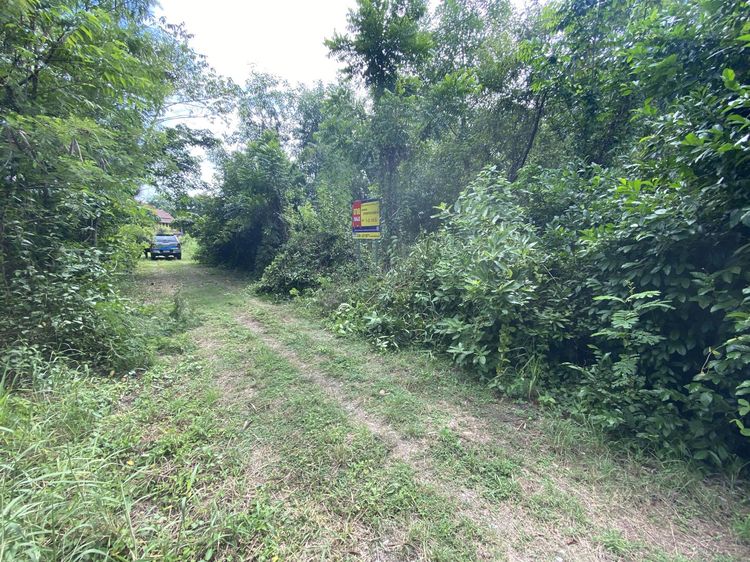 āđāļāđ ð āļāļĩāđāļāļīāļ āļāđāļēāļāļāļē āļĢāļēāļāļēāļāļīāđāļĻāļĐ! ð āļĢāļđāļāļāļĩāđ 2