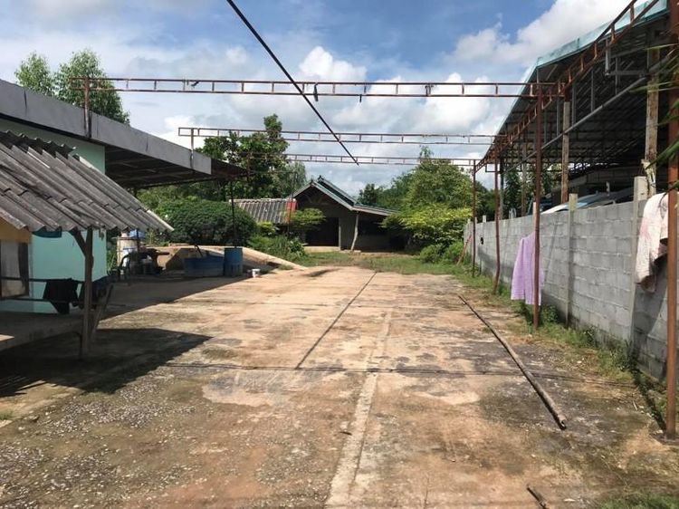 ใช่ 💖 ที่ดิน โพนทอง ราคาพิเศษ! 💖 รูปที่ 3