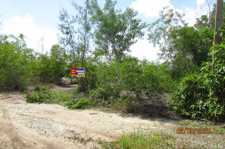 ใช่ 💖 ที่ดิน เสนา ราคาพิเศษ! 💖 รูปที่ 2