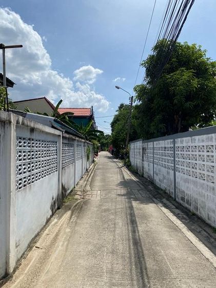 💟 ที่ดินเปล่า จรเข้บัว บางกะปิ 💟 รูปที่ 3