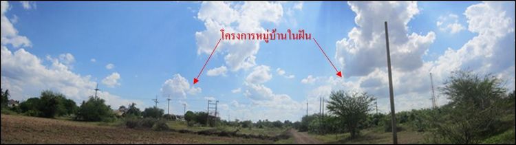 ใช่ 💖 ที่ดิน หนองกี่ ราคาพิเศษ! 💖 รูปที่ 4