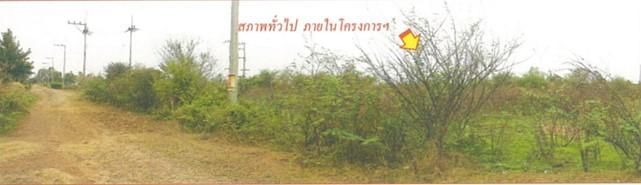 ใช่ 💖 ที่ดิน หนองกี่ ราคาพิเศษ! 💖 รูปที่ 2