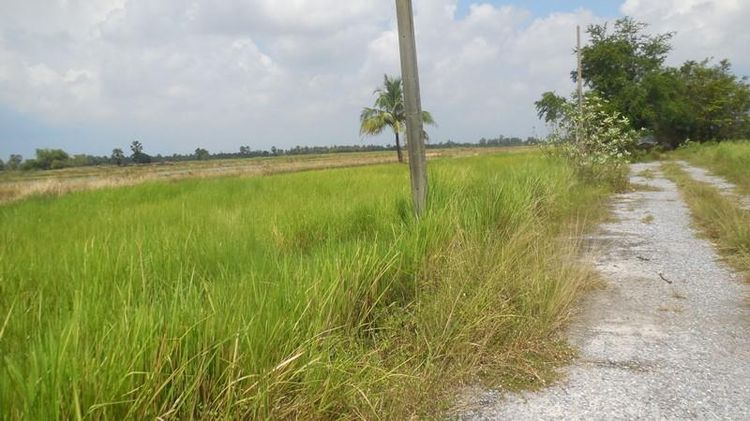 ใช่ 💖 ที่ดิน บางน้ำเปรี้ยว ราคาพิเศษ! 💖 รูปที่ 2