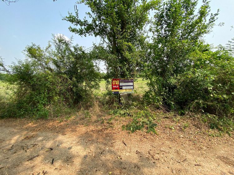 💖 ที่ดิน ดอยหล่อ ราคาพิเศษ! 💖