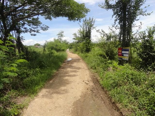 ใช่ 💖 ที่ดิน ดอยหล่อ ราคาพิเศษ! 💖 รูปที่ 4