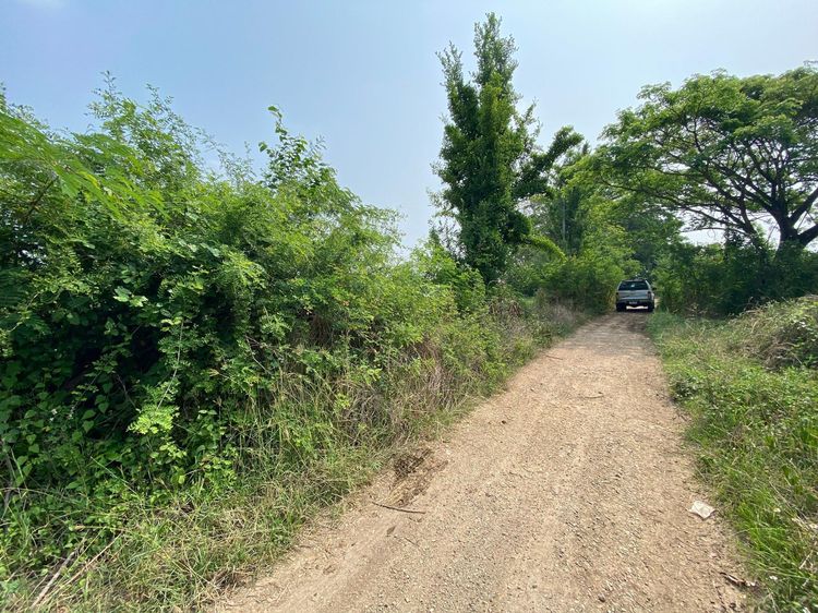 ใช่ 💖 ที่ดิน ดอยหล่อ ราคาพิเศษ! 💖 รูปที่ 3