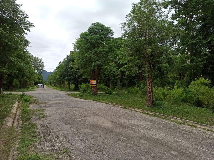 ใช่ 💖 ที่ดิน เมืองกาญจนบุรี ราคาพิเศษ! 💖 รูปที่ 4