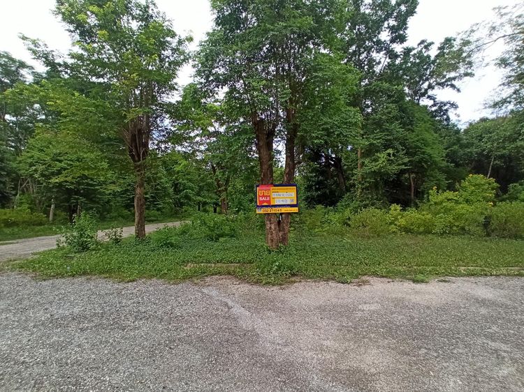 💖 ที่ดิน เมืองกาญจนบุรี ราคาพิเศษ! 💖