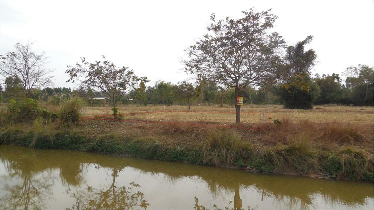 āđāļāđ ð āļāļĩāđāļāļīāļ āđāļĄāļ·āļāļāļāļāļāđāļāđāļ āļĢāļēāļāļēāļāļīāđāļĻāļĐ! ð āļĢāļđāļāļāļĩāđ 2