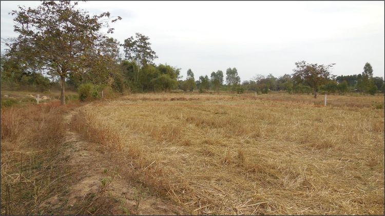 💖 ที่ดิน เมืองขอนแก่น ราคาพิเศษ! 💖