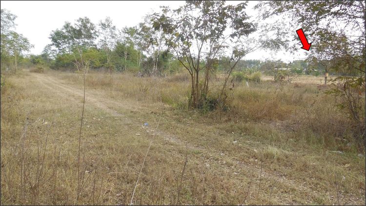 āđāļāđ ð āļāļĩāđāļāļīāļ āđāļĄāļ·āļāļāļāļāļāđāļāđāļ āļĢāļēāļāļēāļāļīāđāļĻāļĐ! ð āļĢāļđāļāļāļĩāđ 3