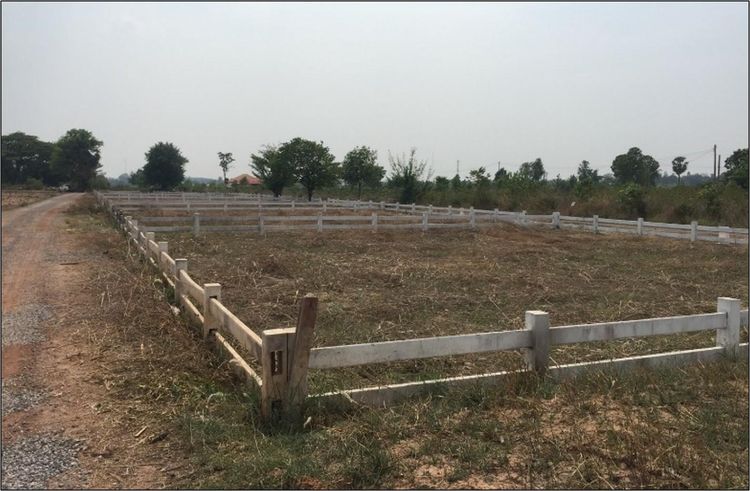 ใช่ 💖 ที่ดิน เขาสวนกวาง ราคาพิเศษ! 💖 รูปที่ 2