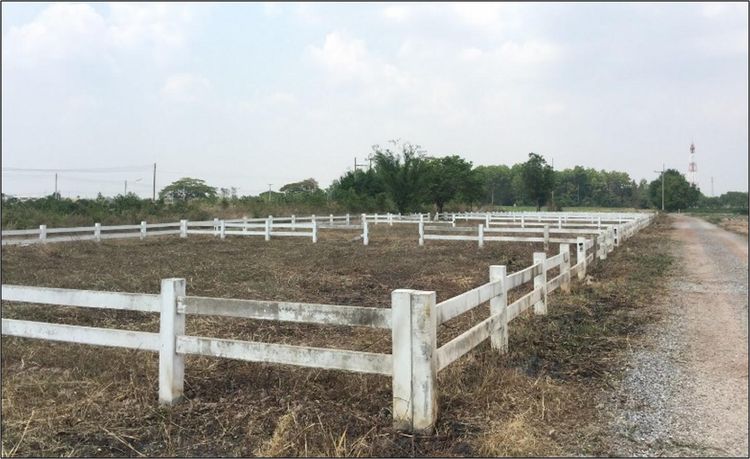 ใช่ 💖 ที่ดิน เขาสวนกวาง ราคาพิเศษ! 💖 รูปที่ 3