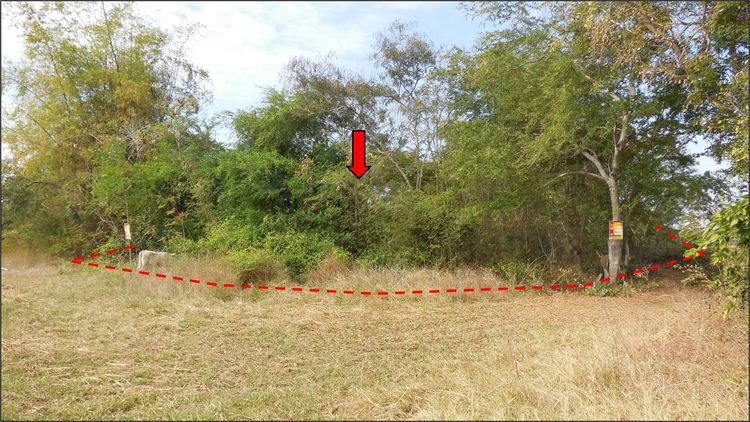 ใช่ 💖 ที่ดิน พระยืน ราคาพิเศษ! 💖 รูปที่ 3