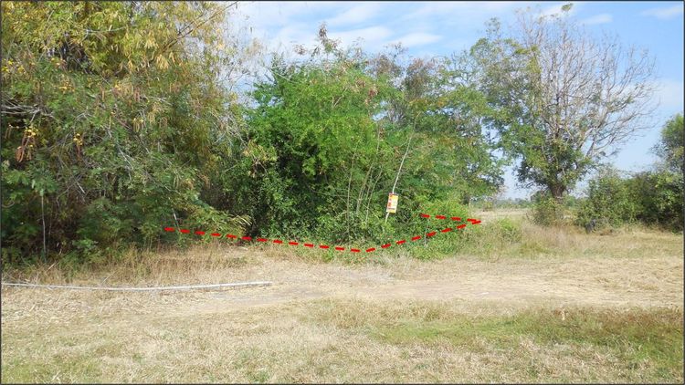 ใช่ 💖 ที่ดิน พระยืน ราคาพิเศษ! 💖 รูปที่ 2