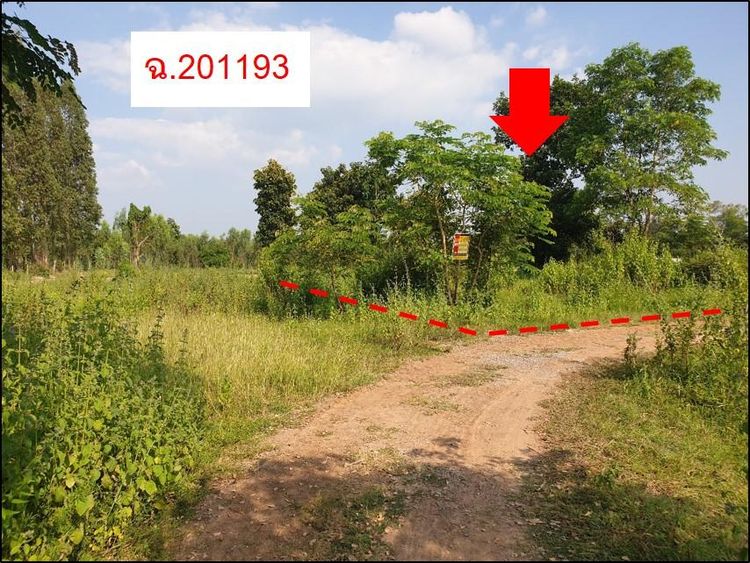 āđāļāđ ð āļāļĩāđāļāļīāļ āđāļĄāļ·āļāļāļāļāļāđāļāđāļ āļĢāļēāļāļēāļāļīāđāļĻāļĐ! ð āļĢāļđāļāļāļĩāđ 2