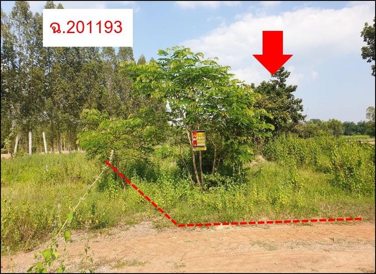 ใช่ 💖 ที่ดิน เมืองขอนแก่น ราคาพิเศษ! 💖