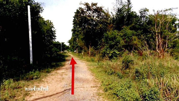 ใช่ 💖 ที่ดิน เมืองขอนแก่น ราคาพิเศษ! 💖 รูปที่ 4